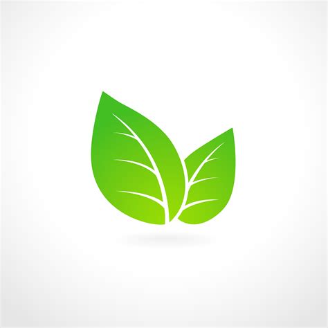 emblema de ecologia hoja verde  vector en vecteezy