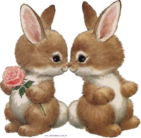 conejos cartoes bonitos bichinhos fofos fotos de animais fofos