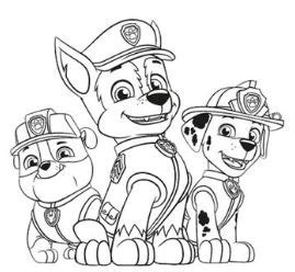 paw patrol tracker coloring page  coloring pages