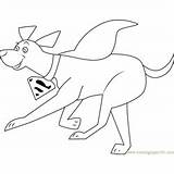 Krypto Coloring Pages Running Dog Super Coloringpages101 Kids sketch template