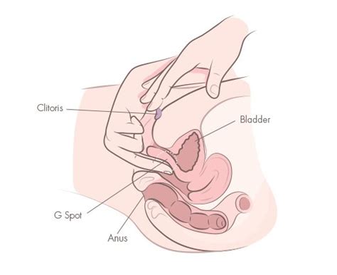 tips for clit stimulation porn clips