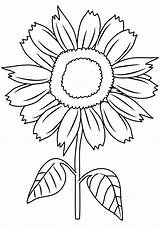 Sunflower Coloring Clipart Clip Sunflowers Pages Flower Color Diagram Drawing Cliparts Simple Adults Printable Kids Sunny Smile Print Sun Unlabeled sketch template