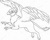 Griffin Coloring Pages Gryphon Printable Drawing Outline Flying Squirrel Drawings Lovely Colouring Baby Getdrawings Getcolorings Color Template Colorings sketch template