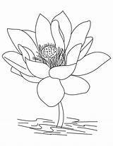 Flower Lotus Coloring Pages Jasmine Color Drawing Printable Pencil Getcolorings Getdrawings Mandala sketch template