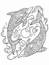 Coloring Dolphin Pages Dolphins Zentangle Adult Two Mandala Ocean Adults Printable Animal Colouring Spinning Lovely Patterns Pretty Water Justcolor Choose sketch template