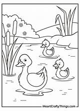 Duck Coloring Pages Printable Iheartcraftythings Ducks Ducklings Cute Little Some Yellow 2021 sketch template