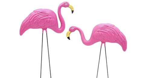 Naughty Secret Revealed Plastic Pink Flamingos In Rv Parks Are Not