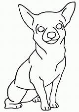 Chihuahua Chihuahuas Bestcoloringpagesforkids Dxf sketch template