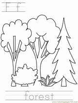 Forest Coloring Pages Others Printable Background Color Education Woods Print Kids Popular Template sketch template