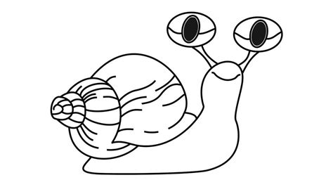 draw  snail step  step snail drawing youtube