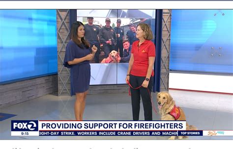 ktvu therapy dogs   responders  stressful