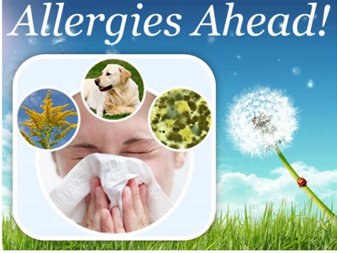 sneezing and wheezing allergies and asthma are not trivial portneuf health partners