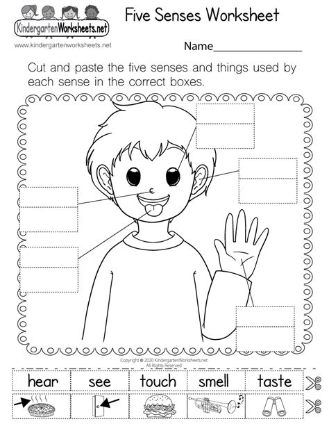 senses worksheet  kindergarten learning worksheet  kids
