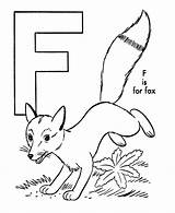 Library Abc Colouring Fuchs Animals Pumpkins Recognition Ausmalbilder Cute sketch template