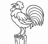 Cock Coloring Rooster Singing Colored Color Book Coloringcrew Farm Painted Gif sketch template