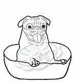 Pug Coloring Pugs Pages Girls Digital Stamping Print Popular sketch template