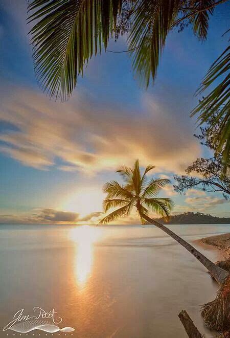 17 best images about tropical sunsets on pinterest palm trees beautiful sunset and beach sunsets