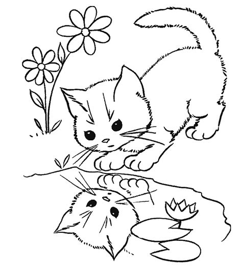gambar hewan kucing  diwarnai