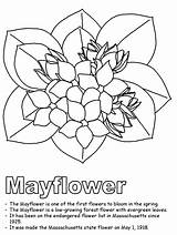 Coloring Nova Scotia Mayflower Pages Massachusetts Flag Flower State Outline Flowers May Canadian Usa Canada Ws Kidzone Printable Line Sheets sketch template