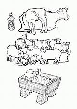 Coloring Pages Animals Nativity Manger Color Popular Getcolorings sketch template