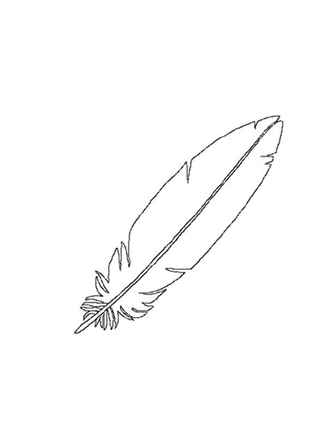 feathers coloring pages