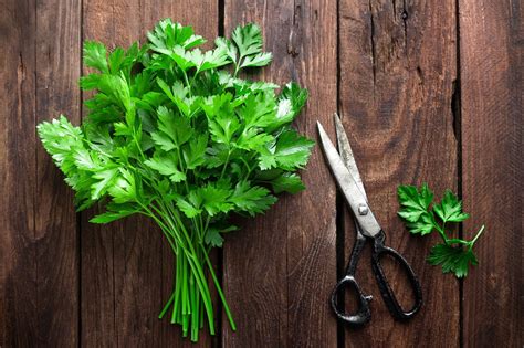 amazing health benefits  parsley zesty