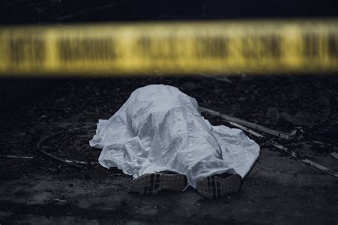 teenage spree killers  planned  kill   murder suicide