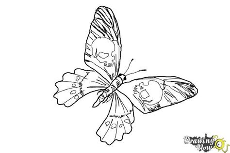 draw  skull butterfly drawingnow