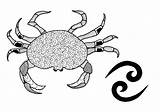 Coloring Cancer Adult Pages Zodiac Signs Helpful Comment Thriftyfun sketch template