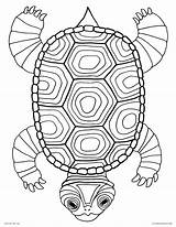 Coloring Turtle Pages Kids Shell Mandala Pond Printable Drawing Outline Color Sea Detailed Adults Animals Turtles Snapping Getcolorings Print Getdrawings sketch template