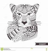 Leopardo Coloritura Wallpaperartdesignhd Henna sketch template