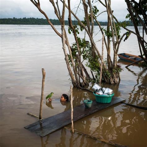 ギャラリー：アマゾン先住民、ダム建設で消える暮らし 写真19点 ナショナルジオグラフィック日本版サイト