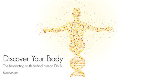 All Cells In A Human Body Have The Same Dna Fact Or Myth
