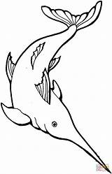 Dibujos Marins Peces Coloring Schwertfisch Marinos Tiburones Acuaticos Swordfish Pescados Estrellas Focas Coloriages sketch template