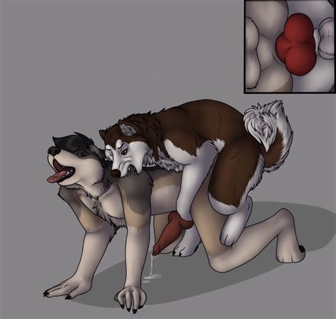 Rule 34 2014 All Fours Anal Anal Sex Anthro Anthro On