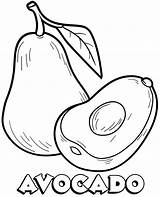 Avocado Coloring Pages Printable Template Children Popular sketch template