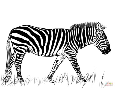 printable zebra printable templates