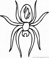 Coloring Pages Spider Spiders Printable Sheets Halloween Popular Library Clipart Coloringhome sketch template