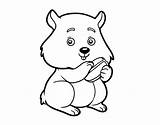 Coloring Coloringcrew Chubby Hamster Woods sketch template