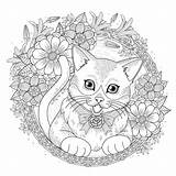 Coloring Colorare Katzen Chats Gatti Erwachsene Disegni Adulti Gatos Malbuch Katze Adultos Coloriages Mandalas Wreath Justcolor sketch template