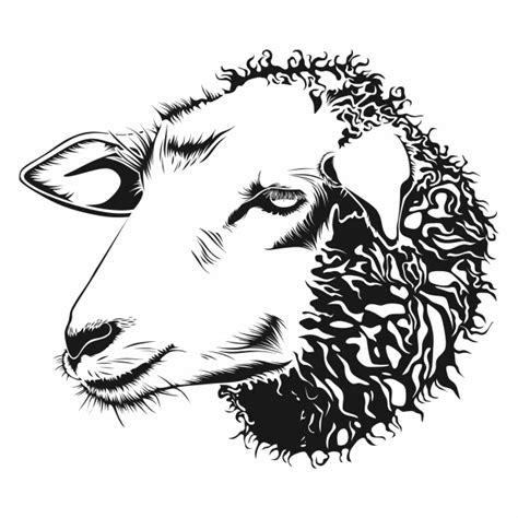sheep  art illustration  stock photo public domain pictures