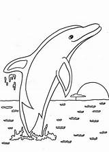 Dolphin Coloring Pages Kids Printable Colorir Golfinho Desenhos Pintar sketch template