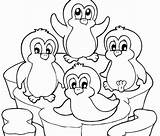 Penguin Coloring Pages Printable Cartoon Cute Kids Penguins King Para Colouring Animal Colorear Winter Sheets Print Pinguino Baby Puffle Clipart sketch template