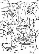 Bear Pages Coloring Family Getcolorings Brother Color Koda sketch template