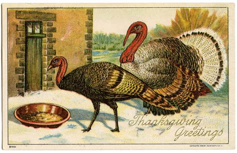 7 thanksgiving postcards with a turkey the graphics fairy