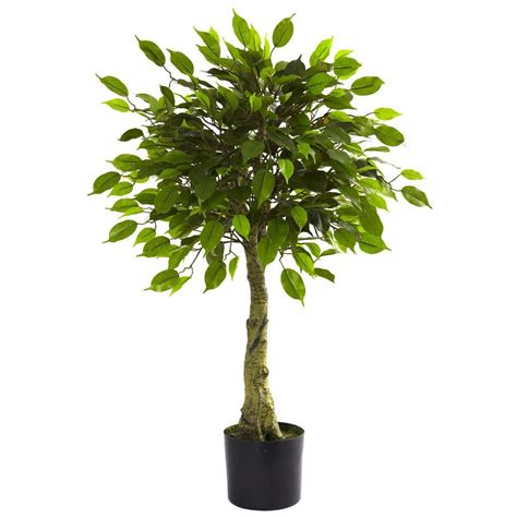 natural  ft uv resistant indooroutdoor ficus tree