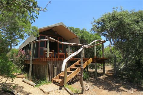 woodbury tented camp zuid afrika pangea travel
