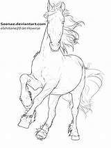 Lineart Friesian Horse Cantering Drawing Deviantart Drawings Deviant Please Getdrawings sketch template