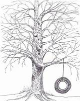 Swing Tree Drawing Sketch Line Trees Coloring Tire Colouring Clipart Draw Pages Digi Stamps Paintingvalley Drawings Sketches Pattern Google sketch template