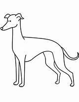 Greyhound Coloring Pages Whippet Drawing Funny Italian Line Printable Getdrawings Dogs Getcolorings Bargain Categories sketch template